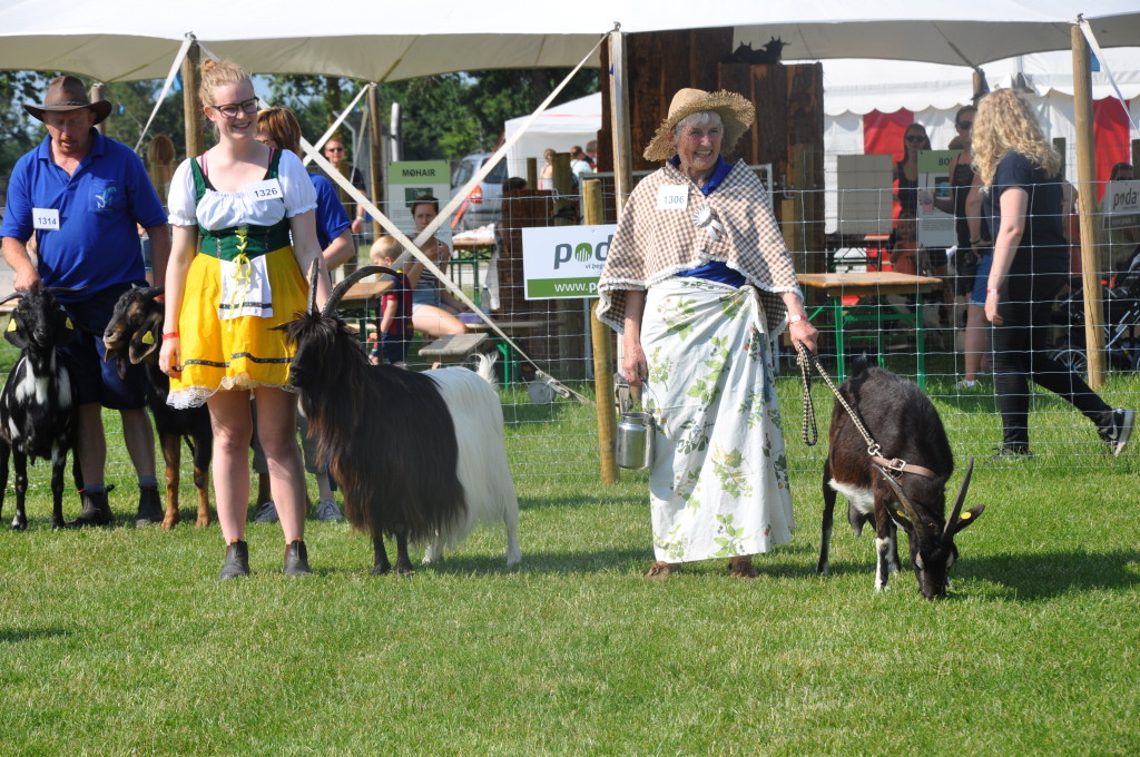 Fis og ballade