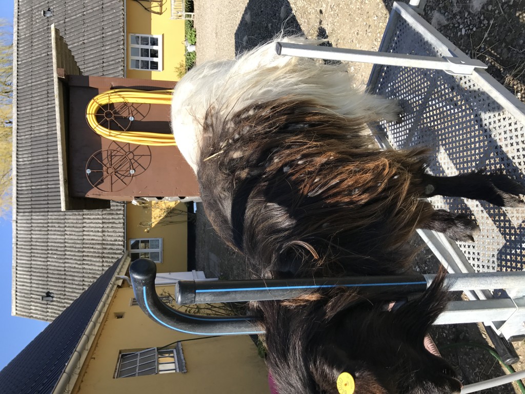 IMG_0061